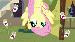 Size: 1280x720 | Tagged: safe, screencap, fluttershy, pony, discordant harmony, g4, female, ginseng teabags, mare, solo, upside down