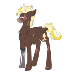 Size: 3616x3472 | Tagged: safe, artist:mayflower-mlp, oc, oc only, oc:thunder strike, pony, amputee, high res, offspring, parent:dumbbell, parent:lightning dust, parents:lightningbell, prosthetic limb, prosthetics, simple background, solo, transparent background