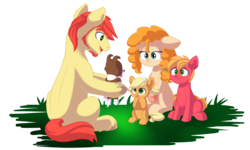 Size: 4693x2821 | Tagged: safe, artist:chub-wub, applejack, big macintosh, bright mac, pear butter, winona, dog, earth pony, pony, g4, alternate hairstyle, beard, belly blush, brightabetes, colt, colt big macintosh, cute, daaaaaaaaaaaw, facial hair, female, filly, filly applejack, freckles, hoof hold, jackabetes, macabetes, male, missing cutie mark, pearabetes, pigtails, pregnant, pregnant pear butter, puppy, ship:brightbutter, shipping, sideburns, simple background, smiling, stallion, straight, transparent background, winonabetes, younger