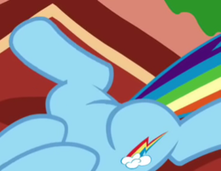 Size: 366x282 | Tagged: safe, screencap, rainbow dash, dragon quest, g4, cropped, featureless crotch, legs, pictures of legs