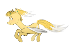 Size: 2600x1900 | Tagged: safe, artist:veracon, oc, oc only, pegasus, pony, simple background, solo, transparent background