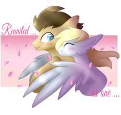 Size: 1024x972 | Tagged: safe, artist:kiara-kitten, derpy hooves, doctor whooves, time turner, pony, g4, female, hug, male, petal, ship:doctorderpy, shipping, simple background, straight, transparent background, winghug
