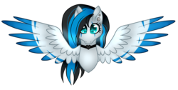 Size: 3684x1856 | Tagged: safe, artist:bluemoonbluepony, oc, oc only, oc:valeo, pegasus, pony, bust, female, mare, portrait, simple background, solo, spread wings, transparent background, two toned wings, wings