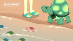 Size: 1920x1080 | Tagged: safe, screencap, fluttershy, tank, tortoise, turtle, aww... baby turtles, equestria girls, g4, my little pony equestria girls: better together, baby turtle, feet, flip-flops, sandals, sea turtle