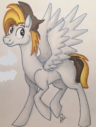 Size: 556x736 | Tagged: safe, oc, oc:ban pinna, pegasus, pony, brown, colored pencil drawing, handsome, male, old art, paper, pen, smiling, stallion, traditional art, white, wings, yellow