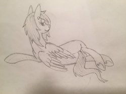 Size: 1024x768 | Tagged: safe, oc, oc:lilac sciath, pegasus, pony, back, bedroom eyes, butt, female, flank, mare, on side, pencil drawing, plot, pose, sexy, traditional art, wings
