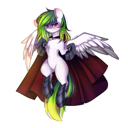 Size: 3000x3000 | Tagged: safe, artist:yuozka, oc, oc only, pegasus, pony, armor, cape, clothes, female, high res, mare, solo, unconvincing armor