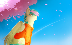 Size: 1503x943 | Tagged: safe, artist:suplolnope, oc, oc only, oc:gusty breeze, pegasus, pony, clothes, flower petals, hoodie, smiling, tree