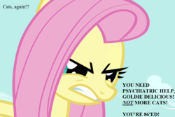 Size: 1080x720 | Tagged: safe, edit, edited screencap, editor:korora, screencap, fluttershy, g4, putting your hoof down, angry, cropped, implied goldie delicious, reality ensues, text