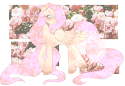 Size: 3000x2068 | Tagged: safe, artist:peachyy-tea, fluttershy, pegasus, pony, g4, female, flower, high res, lightly watermarked, mare, simple background, solo, sparkles, transparent background, unshorn fetlocks, watermark
