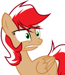 Size: 2594x3009 | Tagged: safe, artist:poniacz-internetuff, pegasus, pony, female, high res, mare, nation ponies, poland, ponified, simple background, solo, transparent background, vector