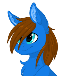 Size: 876x1000 | Tagged: safe, artist:melodytheartpony, oc, oc only, oc:flying ace, pony, bust, chest fluff, cute, ear fluff, fluffy, male, portrait, simple background, solo, transparent background