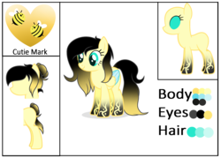 Size: 4380x3140 | Tagged: safe, artist:bluemoonbluepony, oc, oc only, oc:happy bee, pegasus, pony, female, high res, mare, reference sheet, simple background, solo, transparent background, two toned wings