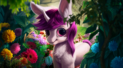 Size: 1600x887 | Tagged: safe, artist:lulemt, oc, oc only, oc:lapush buns, bunnycorn, pony, unicorn, chest fluff, detailed, flower, grass, long ears, looking at you, male, solo, stallion
