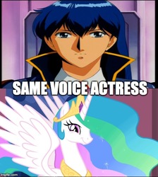 Size: 490x548 | Tagged: safe, princess celestia, g4, anime, exploitable meme, katsumi liqueur, meme, nicole oliver, same voice actor, silent möbius