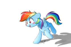 Size: 2417x1613 | Tagged: safe, artist:pucksterv, rainbow dash, pegasus, pony, g4, blushing, cute, dashabetes, female, mare, shadow, simple background, solo, white background, wings