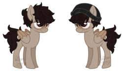 Size: 2429x1398 | Tagged: safe, artist:wilsonofabltch, oc, oc only, pegasus, pony, male, simple background, solo, stallion, transparent background
