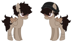 Size: 2429x1398 | Tagged: safe, artist:wilsonofabltch, oc, oc only, pegasus, pony, base used, male, simple background, solo, stallion, transparent background