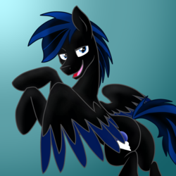 Size: 3000x3000 | Tagged: safe, artist:chelseawest, oc, oc only, pegasus, pony, high res, male, solo, stallion, two toned wings