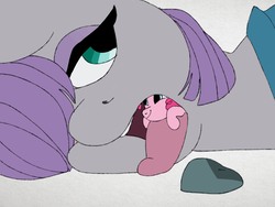 Size: 2048x1536 | Tagged: safe, artist:smallhorses, maud pie, pinkie pie, earth pony, pony, g4, cute, endosoma, female, fetish, happy, incest, lesbian, mare, maud pred, micro, non-fatal vore, piecest, pinkie prey, ship:pinkiemaud, shipping, sibling vore, siblings, simple background, slimy, smiling, taste buds, tongue matress, tongue out, vore, vorishmaudpie, white background