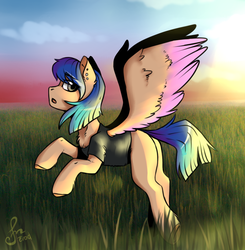 Size: 980x1000 | Tagged: safe, artist:serodart, oc, oc only, oc:cynia, pegasus, pony, colored wings, field, sky, solo, spikes, sunset, two toned wings, wings