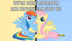 Size: 800x450 | Tagged: safe, fluttershy, rainbow dash, pegasus, pony, fame and misfortune, g4, and nopony can stop me, cute, dashabetes, discovery family logo, i'm being adorable and no one can stop me!, image macro, meme, shipping fuel, shyabetes