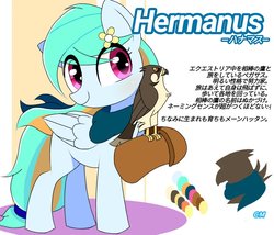 Size: 897x768 | Tagged: safe, artist:erufi, oc, oc only, oc:hermanus, falcon, hawk, pegasus, peregrine falcon, pony, clothes, falconry, falconry hood, female, japanese, mare, reference sheet, scarf, simple background, solo, white background