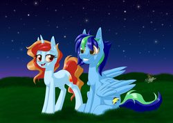 Size: 1127x800 | Tagged: safe, artist:unisoleil, oc, oc only, oc:sky, oc:summer flare, pegasus, pony, unicorn, female, mare, night, sitting