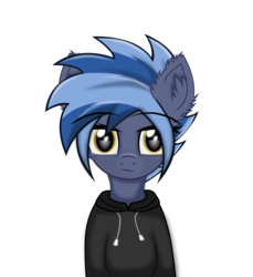 Size: 1373x1500 | Tagged: safe, artist:maxiclouds, oc, oc only, oc:pixi feather, pony, clothes, female, hoodie, mare, simple background, solo, transparent background