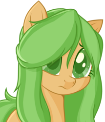 Size: 1024x1188 | Tagged: safe, artist:kimyowolf, oc, oc only, oc:curiosa dream, earth pony, pony, base used, female, mare, movie accurate, simple background, solo, transparent background