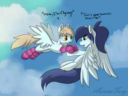 Size: 1024x768 | Tagged: safe, artist:aurorafang, oc, oc only, oc:flurry, oc:zephyrfrost, pegasus, pony, clothes, colt, female, flying, lesson, male, mare, mother and son, socks, striped socks