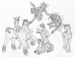 Size: 4160x3160 | Tagged: safe, artist:siegfriednox, oc, oc only, earth pony, pegasus, pony, unicorn, zebra, group, zebra oc