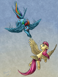 Size: 750x1000 | Tagged: safe, artist:dany-the-hell-fox, fluttershy, rainbow dash, pegasus, pony, g4, augmented tail, duo, female, flying, looking at each other, mare, spread wings, tail feathers, wings