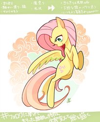 Size: 800x977 | Tagged: safe, artist:sibashen, fluttershy, pegasus, pony, g4, female, mare, solo
