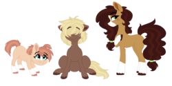 Size: 1238x618 | Tagged: safe, artist:saphi-boo, oc, oc only, earth pony, pony, blaze (coat marking), coat markings, facial markings, hair tie, next generation, offspring, parent:applejack, parent:trouble shoes, parents:troublejack, simple background, socks (coat markings), transparent background, trio