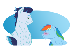 Size: 5250x3500 | Tagged: safe, artist:sweetharmony-0713, rainbow dash, soarin', pony, g4, chest fluff, female, male, ship:soarindash, shipping, straight