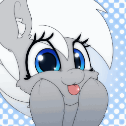 Size: 1000x1000 | Tagged: safe, artist:n0nnny, derpibooru exclusive, oc, oc only, pony, g4, :p, animated, blinking, blushing, bust, commission, cute, ear fluff, frame by frame, gif, looking at you, ocbetes, portrait, silly, smiling, solo, tongue out
