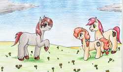 Size: 3415x2006 | Tagged: safe, artist:40kponyguy, derpibooru exclusive, bright mac, pear butter, oc, oc:iron granite, earth pony, pony, g4, female, flower, grandparent and grandchild moment, grandparents, high res, looking at each other, male, mare, meadow, offspring, parent:big macintosh, parent:marble pie, parents:marblemac, raised hoof, requested art, stallion, traditional art