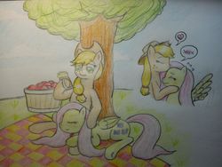 Size: 4608x3456 | Tagged: safe, artist:supercastle, applejack, fluttershy, earth pony, pegasus, pony, g4, female, forehead kiss, lesbian, mare, picnic blanket, pictogram, ship:appleshy, shipping, traditional art, under the tree