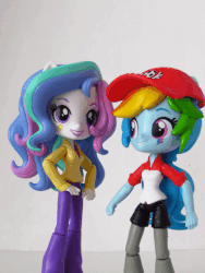 Size: 420x560 | Tagged: safe, artist:whatthehell!?, princess celestia, principal celestia, rainbow dash, equestria girls, g4, abuse, animated, celestiabuse, clothes, doll, english, equestria girls minis, hat, irl, jacket, parody, photo, pop team epic, poputepipikku, punch, shoes, stop motion, toy, why