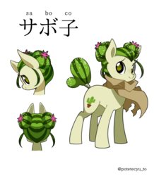 Size: 1045x1200 | Tagged: safe, artist:potetecyu_to, oc, oc only, oc:saboco, cactus pony, earth pony, pony, cactus, cloak, clothes, colored pupils, cute, double buns, female, japanese, katakana, looking at you, mare, odango, ponified, reference sheet, simple background, smiling, smiling at you, solo, white background