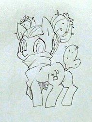 Size: 731x963 | Tagged: safe, artist:potetecyu_to, oc, oc only, oc:saboco, cactus pony, cloak, clothes, female, looking at you, mare, monochrome, solo