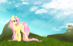 Size: 2466x1564 | Tagged: safe, artist:acidthead, artist:sodapopfairypony, fluttershy, pegasus, pony, g4, collaboration, crepuscular rays, female, folded wings, grass, looking away, mare, raised hoof, raised leg, sky, smiling, solo, turned head, wings