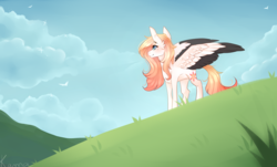Size: 2000x1210 | Tagged: safe, artist:skimea, oc, oc only, oc:ember (cinnamontee), bird, pegasus, pony, cloud, colored wings, colored wingtips, female, grass, hill, looking away, mare, sky, solo, spread wings, two toned wings, wings