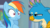 Size: 1659x923 | Tagged: safe, screencap, gallus, rainbow dash, griffon, pegasus, pony, g4, school daze, duo, egghead, female, male, mare, narrowed eyes, out of context