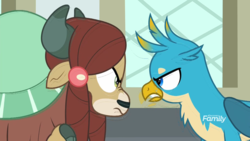 Size: 1920x1080 | Tagged: safe, screencap, gallus, yona, griffon, yak, g4, school daze, angry, argument, bickering, cloven hooves, discovery family logo, duo, female, glare, gritted teeth, male, nub, raised hoof, rivalry