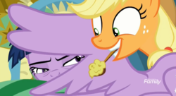 Size: 1638x894 | Tagged: safe, screencap, applejack, twilight sparkle, alicorn, pony, g4, school daze, apple mash, discovery family, discovery family logo, food, hiding behind wing, logo, mouth hold, twilight sparkle (alicorn)