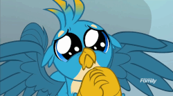 Size: 922x516 | Tagged: safe, screencap, gallus, griffon, g4, school daze, :<, adventure in the comments, animated, cute, daaaaaaaaaaaw, derail in the comments, discovery family logo, eye shimmer, floppy ears, frown, gallabetes, gif, hnnng, looking at you, male, porgs in the comments, puppy dog eyes, puppy-eyed gallus, sad, solo, spread wings, weapons-grade cute, wings