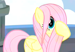 Size: 476x329 | Tagged: safe, screencap, fluttershy, pegasus, pony, g4, school daze, cropped, cute, female, hair over one eye, hiding behind mane, mare, shyabetes, solo