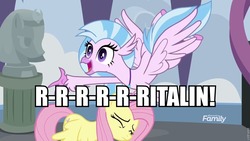 Size: 960x540 | Tagged: safe, edit, edited screencap, screencap, fluttershy, silverstream, somnambula, classical hippogriff, hippogriff, pegasus, pony, g4, school daze, discovery family, discovery family logo, duo, image macro, jewelry, logo, meme, necklace, ritalin, school of friendship